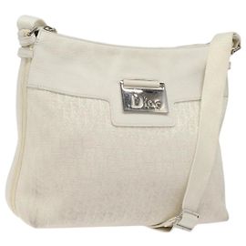 Christian Dior Trotter Canvas Shoulder Bag White Silver Auth 124231 Silvery White