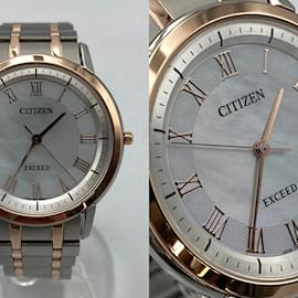 Citizens of Humanity-Citizen Exceed Eco-Drive Watch AR4004-71D D4-Other