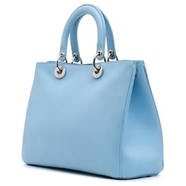Dior-Dior Blue Medium Smooth Calfskin Paradise Diorissimo Satchel-Blue,Light blue