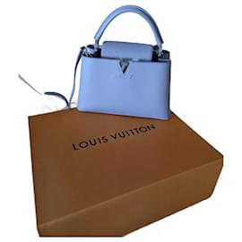 Louis Vuitton-Capucines-Gris