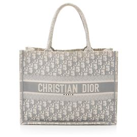 Dior Oblique Pequeño Tote de Libros Gris