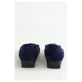 Tod's-Navy suede ballerinas-Navy blue