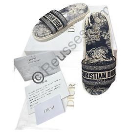 Dway Dior canvas of joy Other