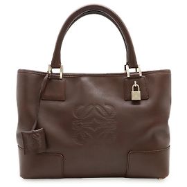 Loewe Amazona Leather Handbag Brown