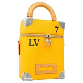 Louis Vuitton-Louis Vuitton Men's Vertical Box Trunk Handbag-Golden