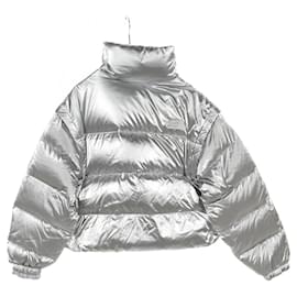 The North Face-THE NORTH FACE WHITE LABEL W'S GLOSSY DT DOWN JACKET Nylon Down Jacket-Silvery