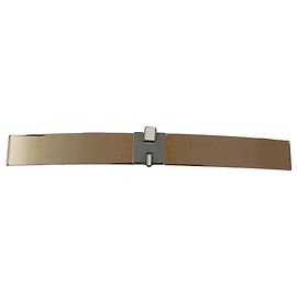 Hermès Hermès Irene GM Barrette Silber Golden