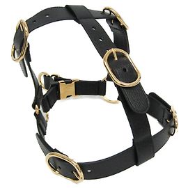 Gucci Interlocking G Pet Harness - Large Black