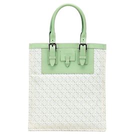 Sac à main Anagram Repeat de LOEWE Vert