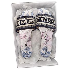 Dior Dway Blue Toile de Jouy Mules — Size 39 White Blue