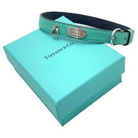 Tiffany & Co Collars & Leashes Turquoise