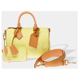 LOUIS VUITTON Speedy Bag in Yellow Canvas - 102940 Yellow