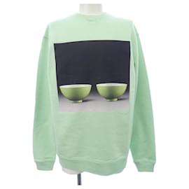 Moletom Loewe Verde