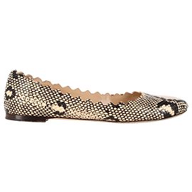 Sapatilhas Chloé Lauren com estampa de cobra e bordas onduladas em couro com estampa animal Outro Impressão em python