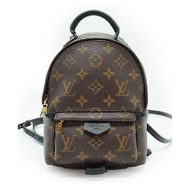 Louis Vuitton Monogram Palm Springs Mini Brown