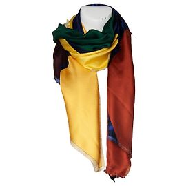 Autre Marque Bufanda impresa multicolor Odeeh Azul