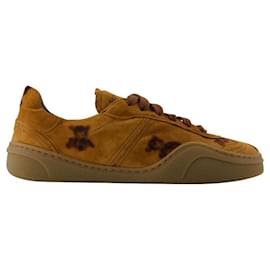 Baskets Bear Print - Acne Studios - Cuir - Marron Marron