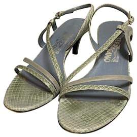 Sandales Python Salvatore Ferragamo Bleu