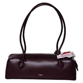 ALAÏA le Teckel Moyen Bordeaux