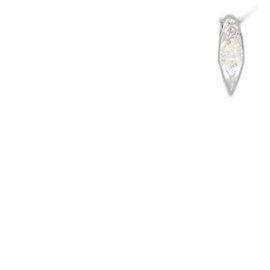 Autre Marque Au750 Diamant-Halskette Silber