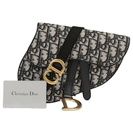 Dior-Saddle Pouch and Belt Bag-Blue