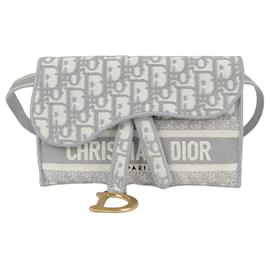 Dior-Saddle Slim Pouch Belt Bag-Brown