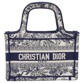 Dior Tuileries Mini Buch Tote Blau