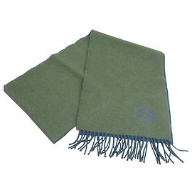 Bufanda de mezcla de cachemira con flecos bicolor bordada con el anagrama de Loewe Azul Caqui