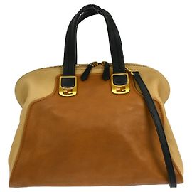 Sac à main Chameleon en cuir grand modèle de Fendi Marron