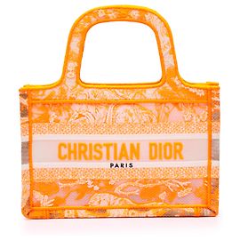 Dior Arancione Mini Tela Ricamata Dioriviera Borsa da Libro Arancione
