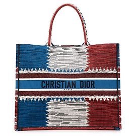 Bolsa Tote em Lona Dior Book (Edição Limitada Champs-Élysées) Multicor