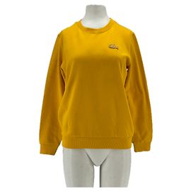 Lacoste Suéter mostarda Amarelo