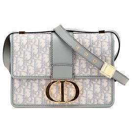 Dior Medium Oblique Canvas 30 Montaigne Tasche Grau