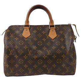 Louis Vuitton Speedy Tote Tasche Braun