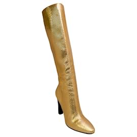 Botas de python douradas com estampado Saint Laurent Dourado