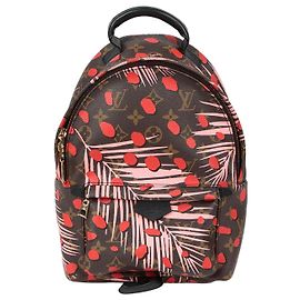 Louis Vuitton Palm Springs PM Size Backpack Multiple colors
