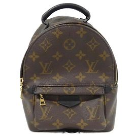 Louis Vuitton Monogram Palm Springs Backpack Mini Brown