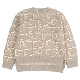 Strickpullover Dior×Cactus Jack Beige