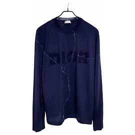 Dior Tejido Daniel Arsham Azul