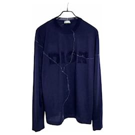 Dior Daniel Arsham Strick Blau