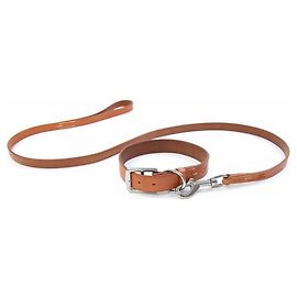 Conjunto de collar y correa para perro Hermès Otro
