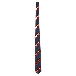 Valentino Stripe Silk Tie Blue