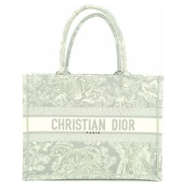 Dior Book Tote Brown