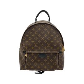 Louis Vuitton Monogram Palm Springs Backpack MM Brown