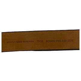 Cinto de lona e couro com fivela logo FF listrada Pecan da Fendi Marrom Preto