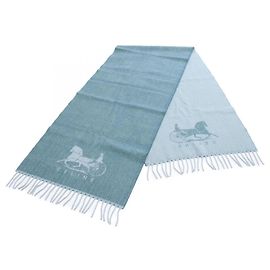 Cachecol Sulky Céline Verde Seda Cashmere Lã Verde