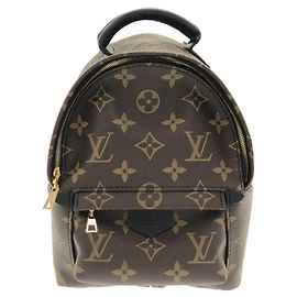 Louis Vuitton Monogram Palm Springs Backpack Mini Brown