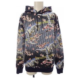 Dior Hoodie Schwarz Pink Blau