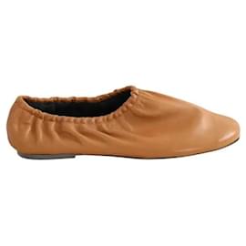 Apc Bailarinas camel Camello