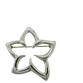 Tiffany & Co Broche Fleur Plumeria Tiffany Argent &Co. Argenté